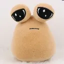 poo