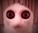 wither