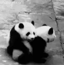hug