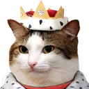 catKing