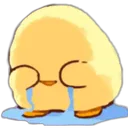 duckycry Discord Emoji