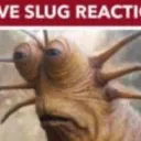 LIVE_SLUG_RRACFION