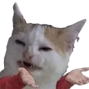 wut