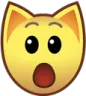 cat_cgshocked