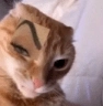 HmM_Dw Discord emoji