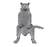 catbust