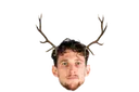 Moose