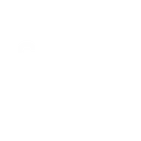 checkischojo