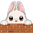 qbunnyLurk