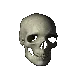 skullspin