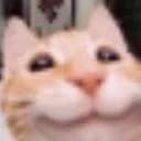 Happylilgoober