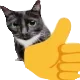 ch_acatthumbsup Discord Emoji