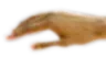 BridgesLongL1