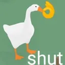 shutgoose shutgoose