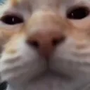 cathuh