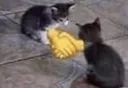 Handshake Handshake
