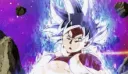 gokudodge gokudodge