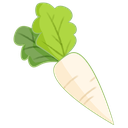 Daikon