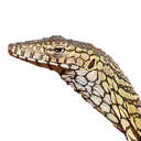 long_necked_beast