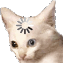 SCloading