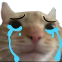 cat_cry
