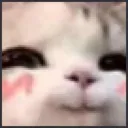Cat_SusUwU Discord Emoji