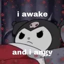 8596awakeandangy