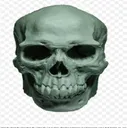 srsskull