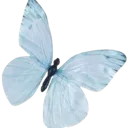 05_bluebutterfly Discord Emoji
