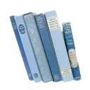 0_bluebook Discord Emoji