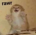 rawr