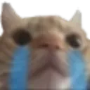 Cry cry Discord Emoji