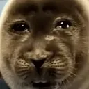 sadge