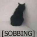 Sobbing Sobbing Discord Emoji