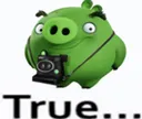 photog_true