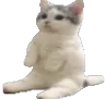 catright