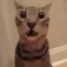 whar