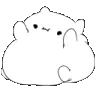 catbongos