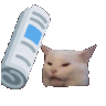 catbonk