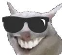 penisCool