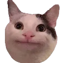 belu