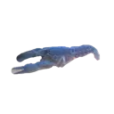 Jd_crayfish