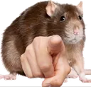 ratU