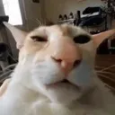 guh