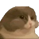 catNum