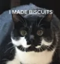 Mamacat Discord Emoji