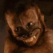 MKR_grin MKR_grin