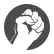 insfist