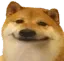 doge Discord Emoji