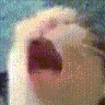 AAAAA